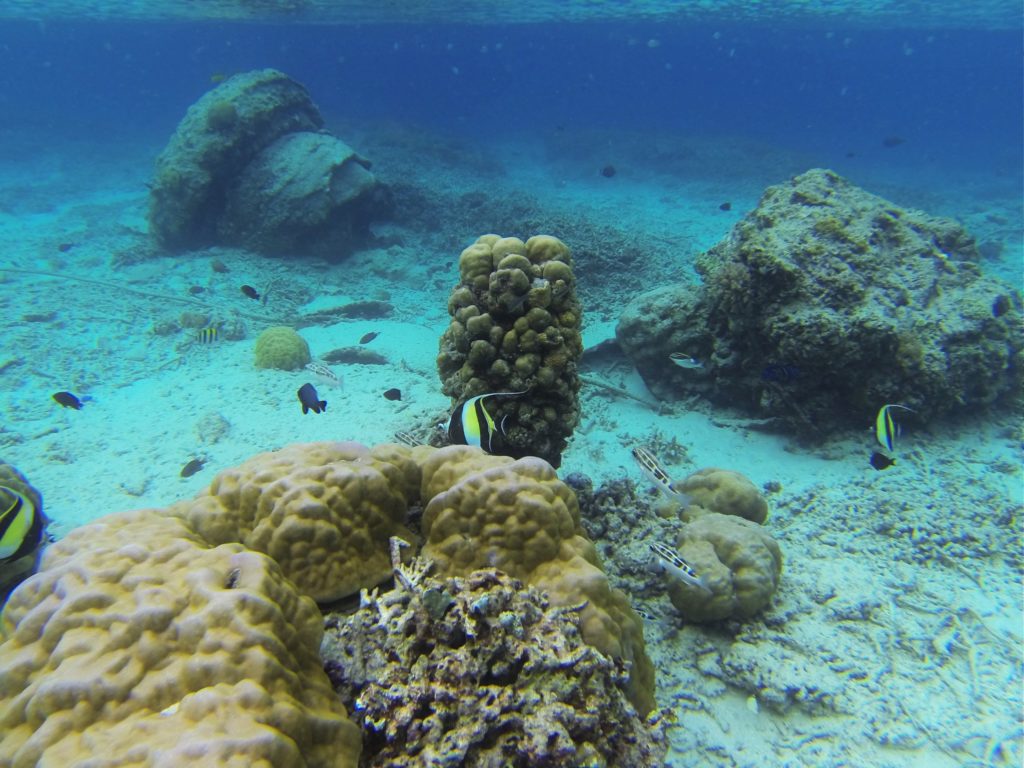 Snorkeling em Gili Trawangan