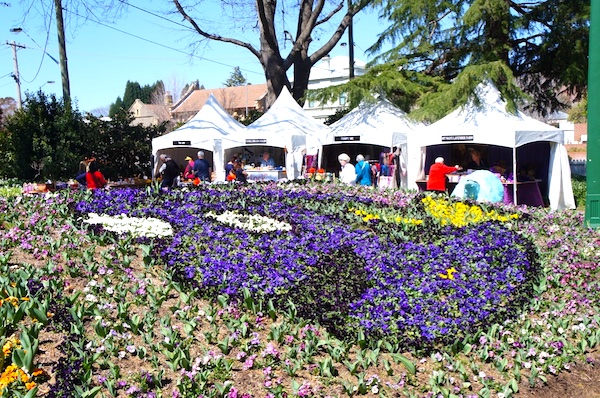 Festival de Tulipas na Australia, peixe