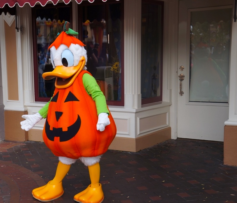 Festa de Halloween na Disney - Donald
