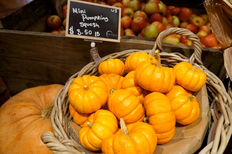 Halloween em Nova York - abóboras 