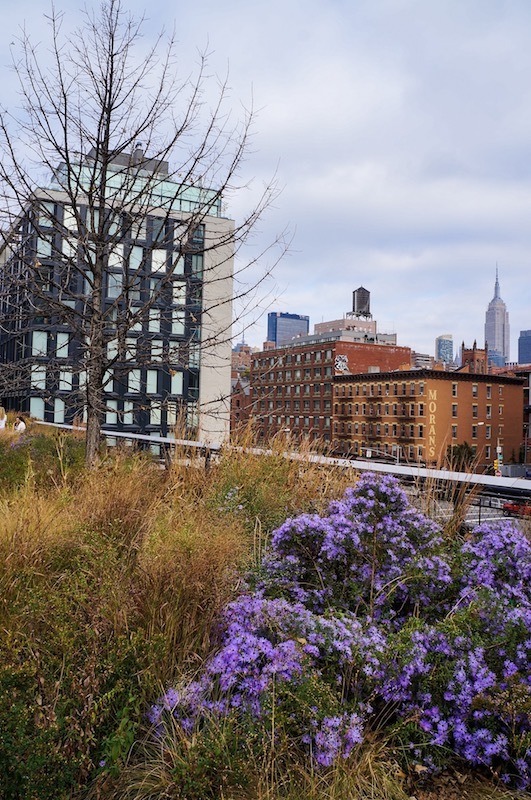 Vista do Empire State no High Line