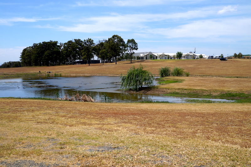 Onde comer em Hunter Valley? Leogate Estate