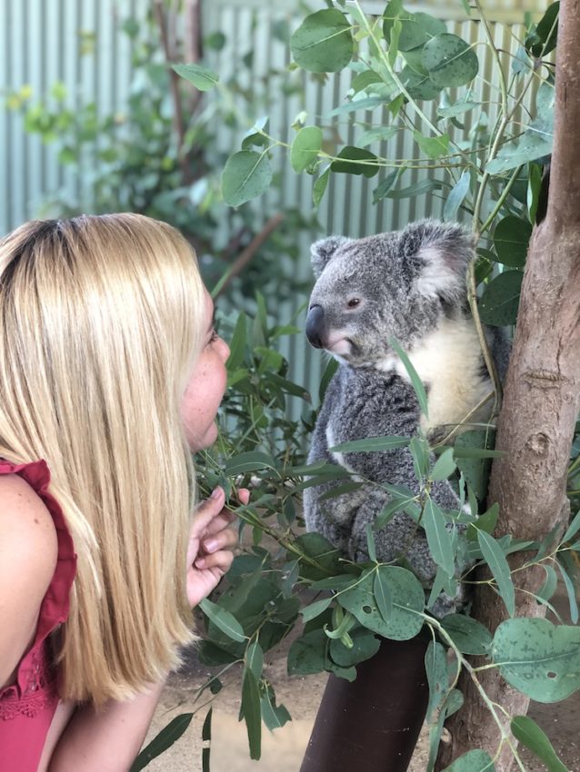 Giulia Sampogna perto do coala em Sydney