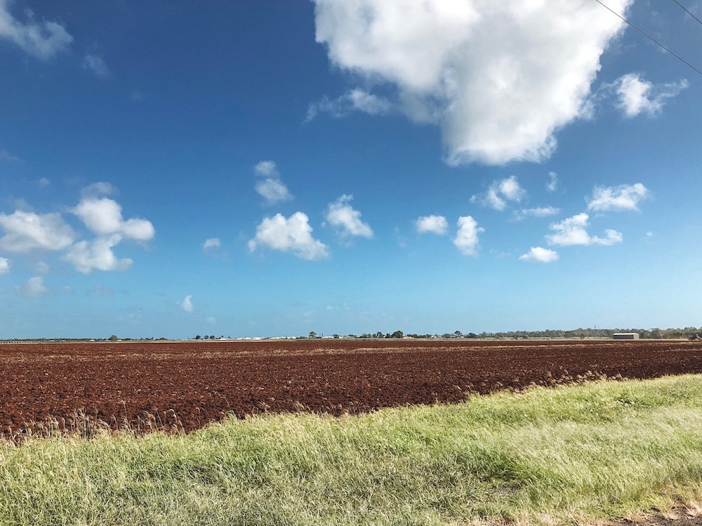 Como foi voltar a Bundaberg