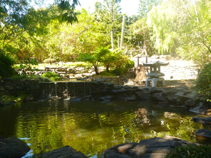 Bundaberg Botanic Garden