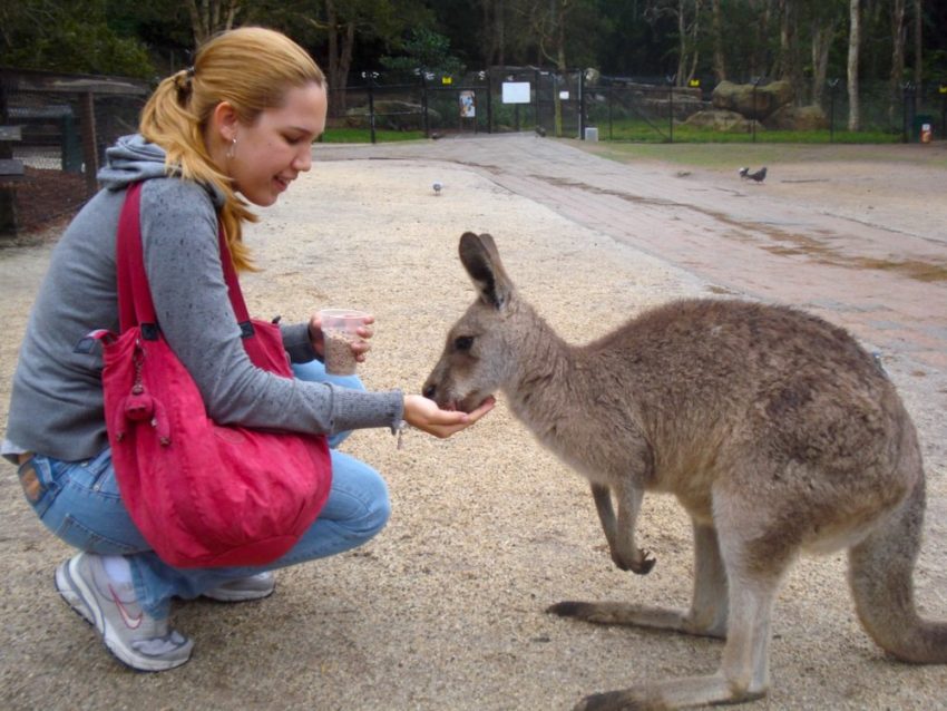 Currumbin Wildlife Sanctuary