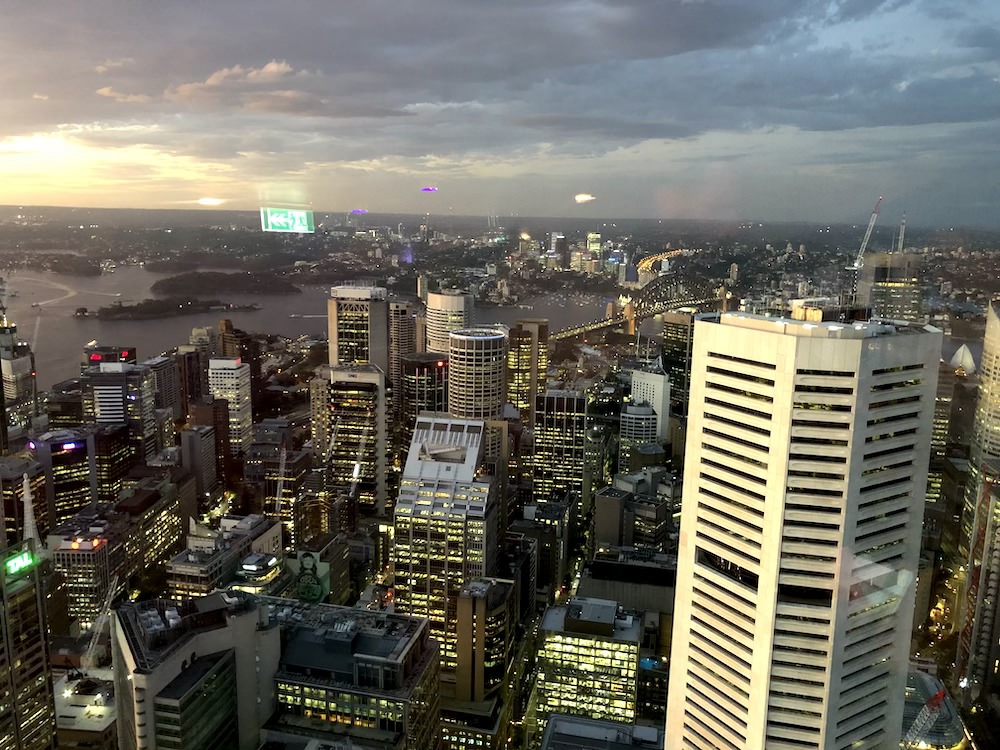 Sydney Tower view