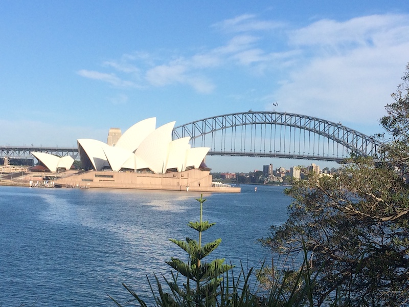 Vista do Opera e ponte do Botanic Garden - roteiro de um dia em Sydney
