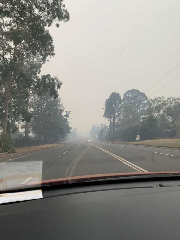 Incêndios na Austrália | Princess Highway depois da queimada